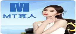 MT 百家樂即時下注介面
