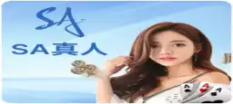 SA 百家樂娛樂桌面展示